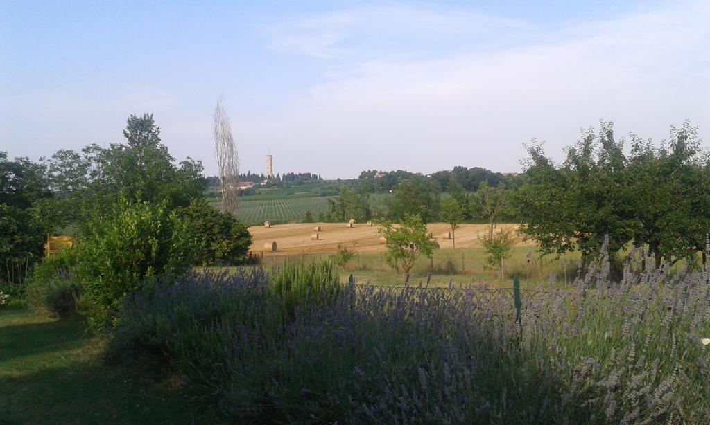 Monte Maino Bed & Breakfast Дезенцано-дель-Гарда Экстерьер фото